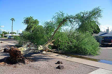 Scottsdale Storm Damage, September 28, 2014